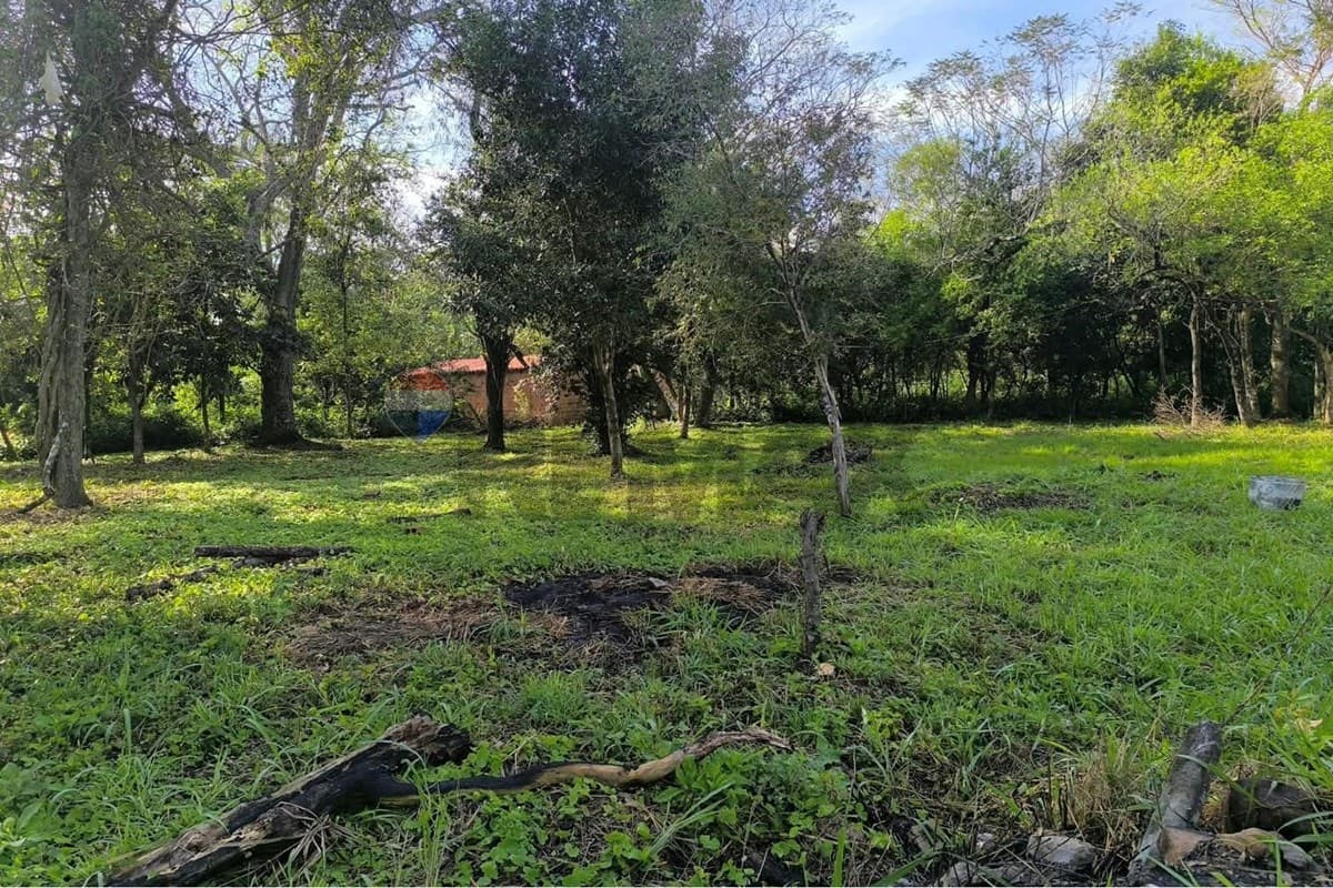 Terreno en Cristobal Colon - foto 7