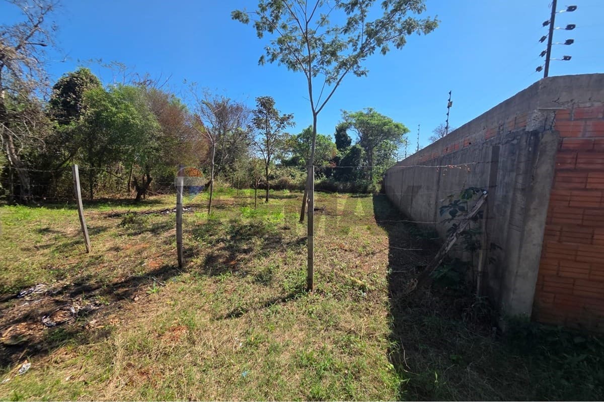 Terreno en Cañada Garay, Luque - foto 6