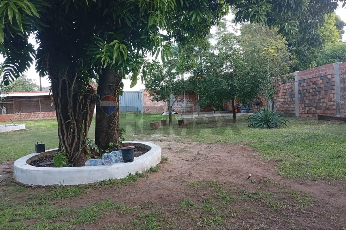 Terreno en Laurelty, Luque - foto 4