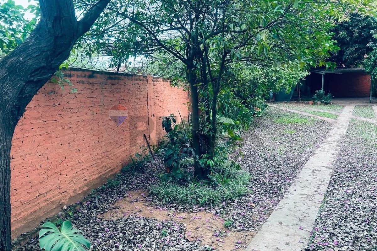 Terreno en Mariscal Estigarribia casi 4 de Mayo - foto 4