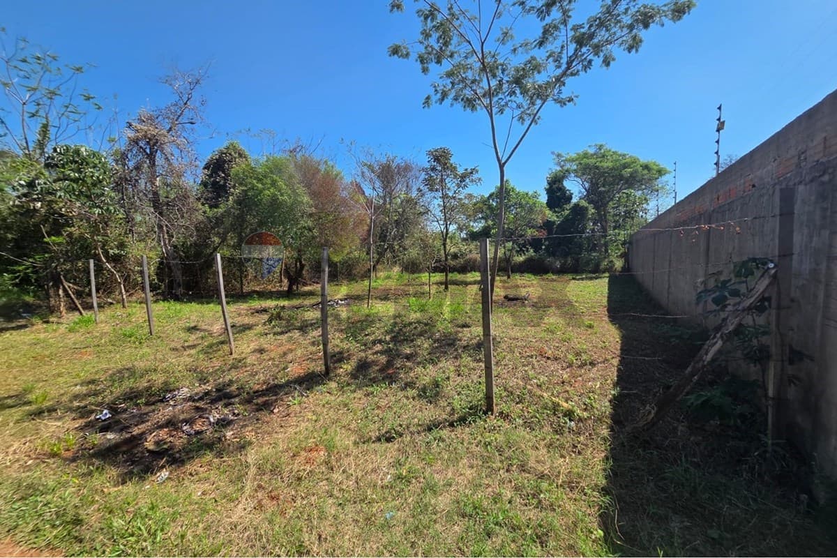Terreno en Cañada Garay, Luque - foto 8