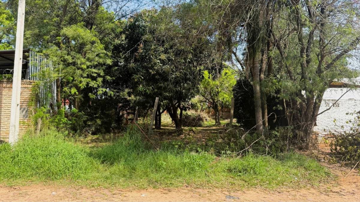 Terreno en Calle Tomas Benitez Valdez - foto 2