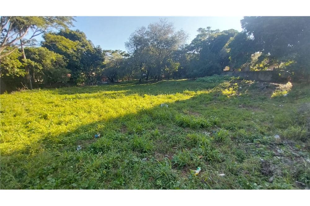 Terreno en Carretera de López - foto 3