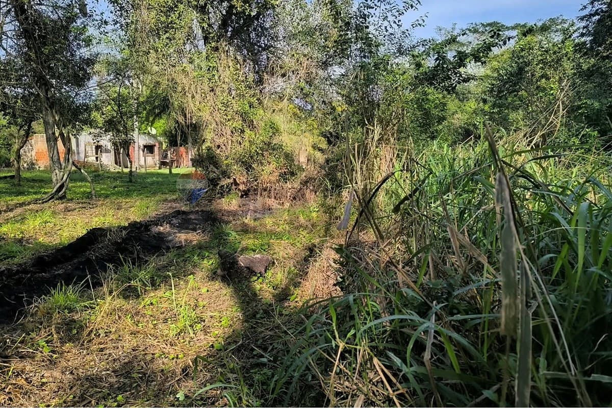 Terreno en Cristobal Colon - foto 3