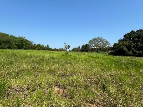 Terreno en Mora Kue - foto 3