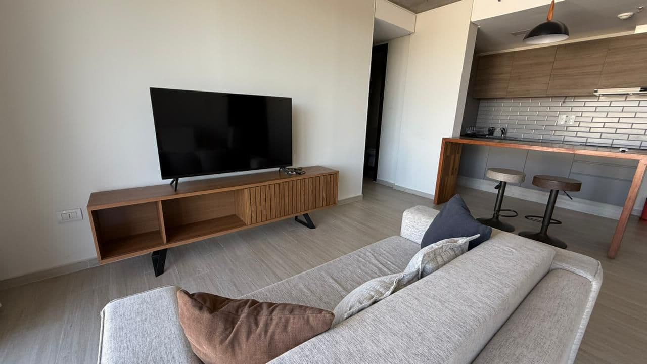 Departamento en Doctor Toribio Pacheco - foto 3