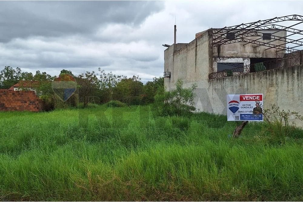 Terreno en Ñu pora - foto 4