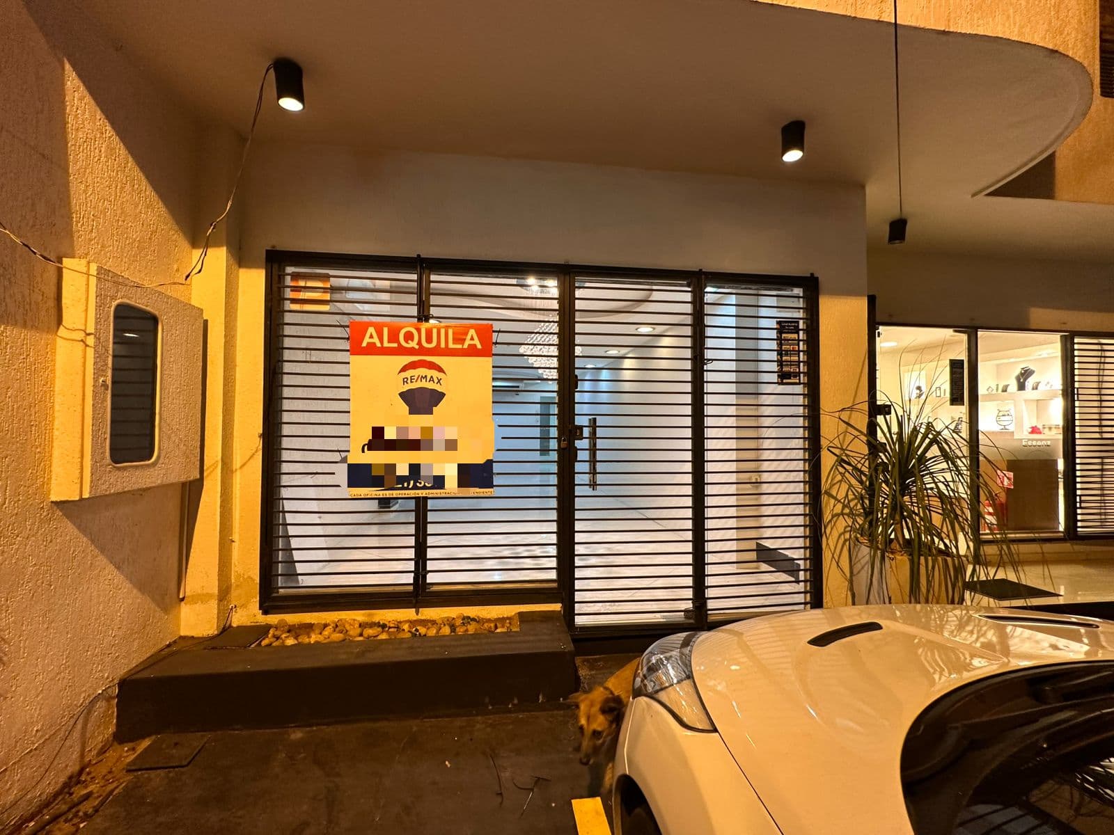 Local comercial en Avenida Bonifacio Ovando - foto 9
