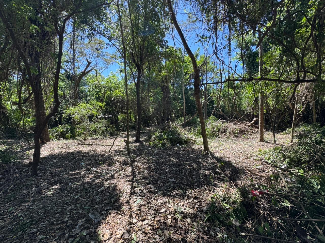 Terreno en Herrera, Asunción