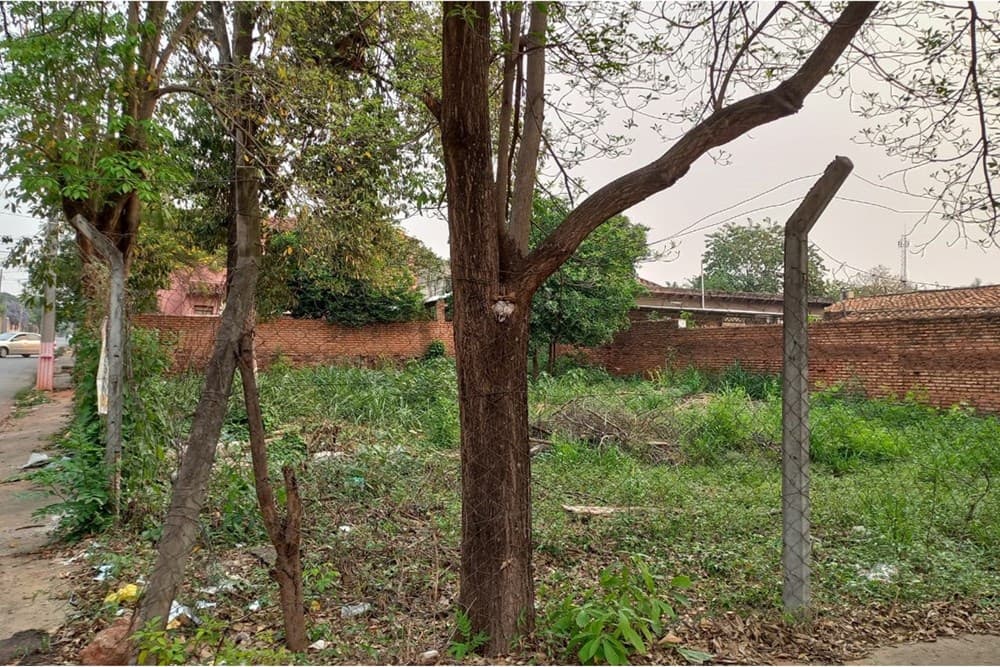 Terreno en Coronel Bogado - foto 2
