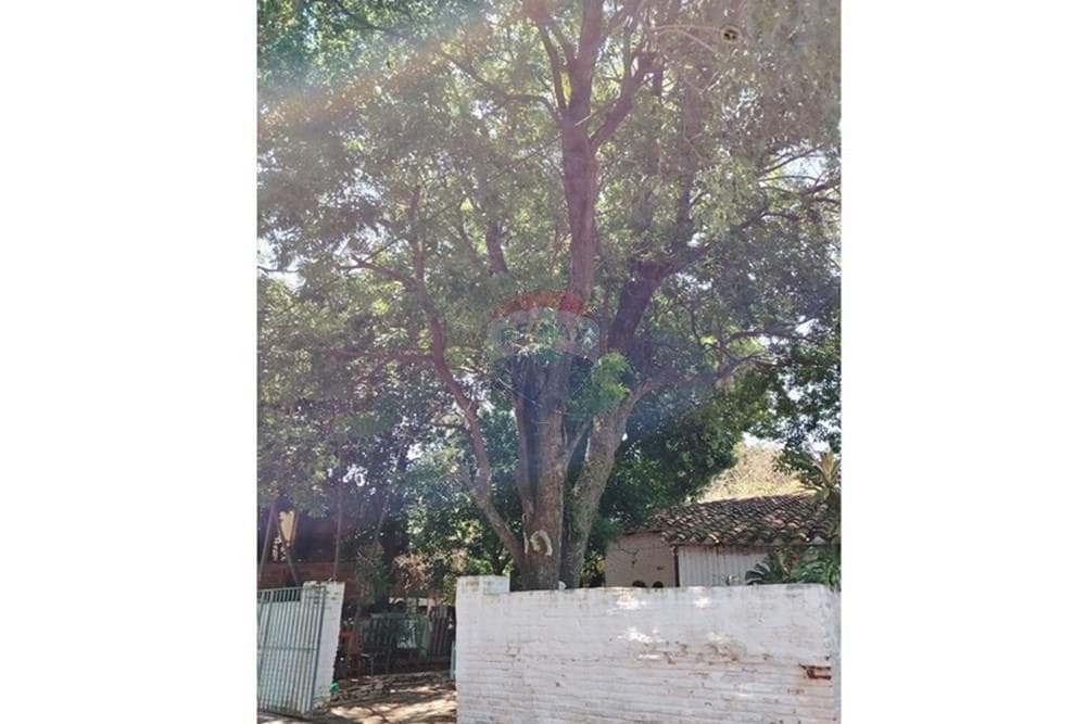 Terreno en San Vicente, Asunción - foto 2