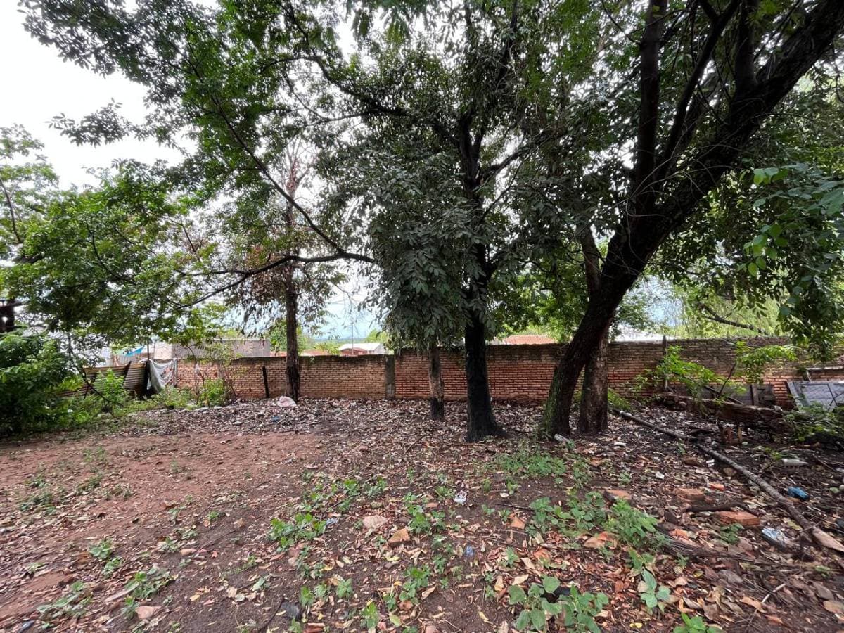 Terreno en Guavira - foto 2