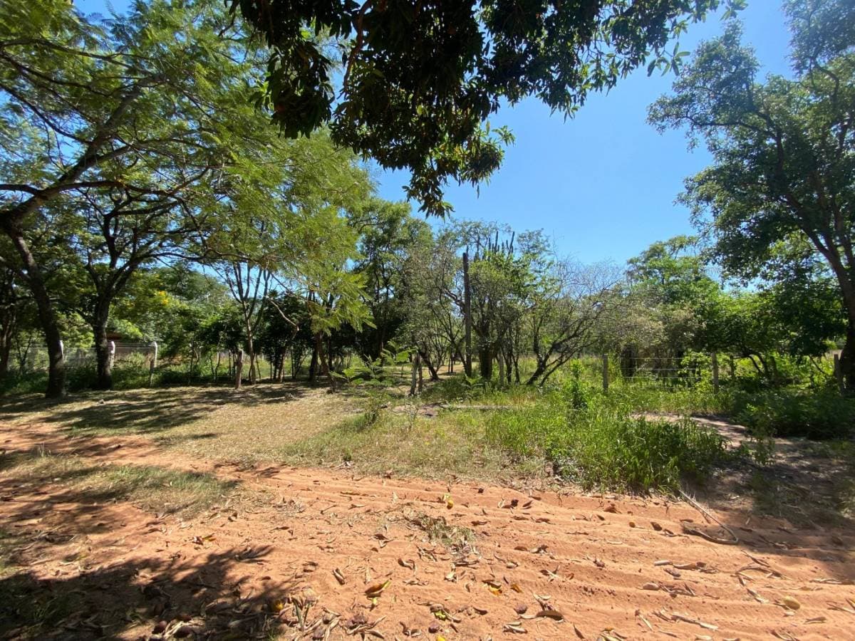 Terreno en Avenida Ciervo Cuá - foto 3