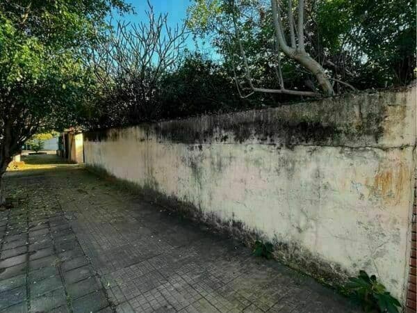 Terreno en Los Laureles, Asunción - foto 2