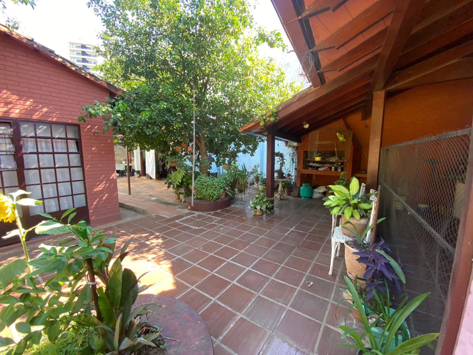 Casa en Madame Lynch - foto 4
