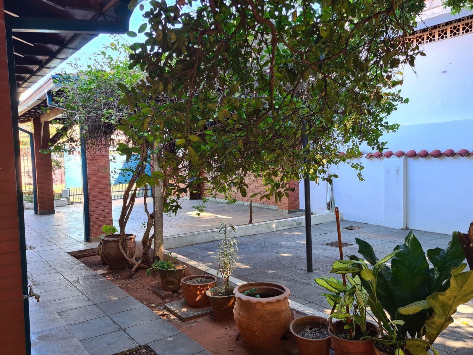 Terreno en Los Laureles, Asunción - foto 4