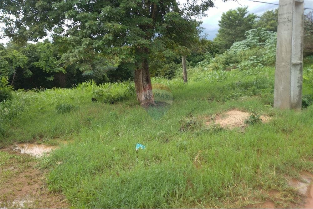 Terreno en Luque, Central - foto 2