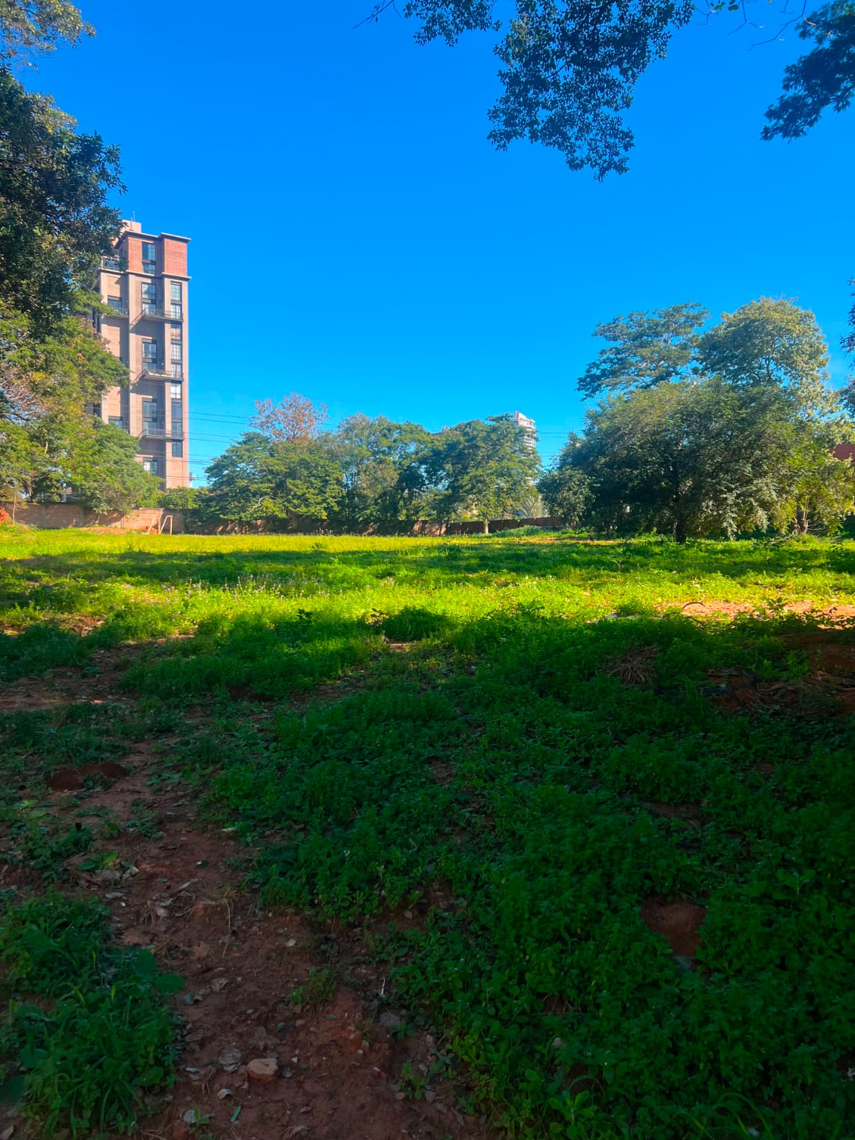 Terreno en Avenida Primer Presidente - foto 2