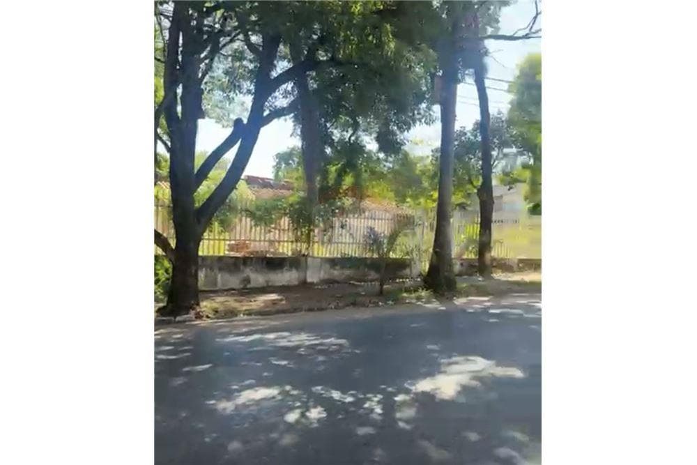 Terreno en De Las Palmeras Plaza - foto 8