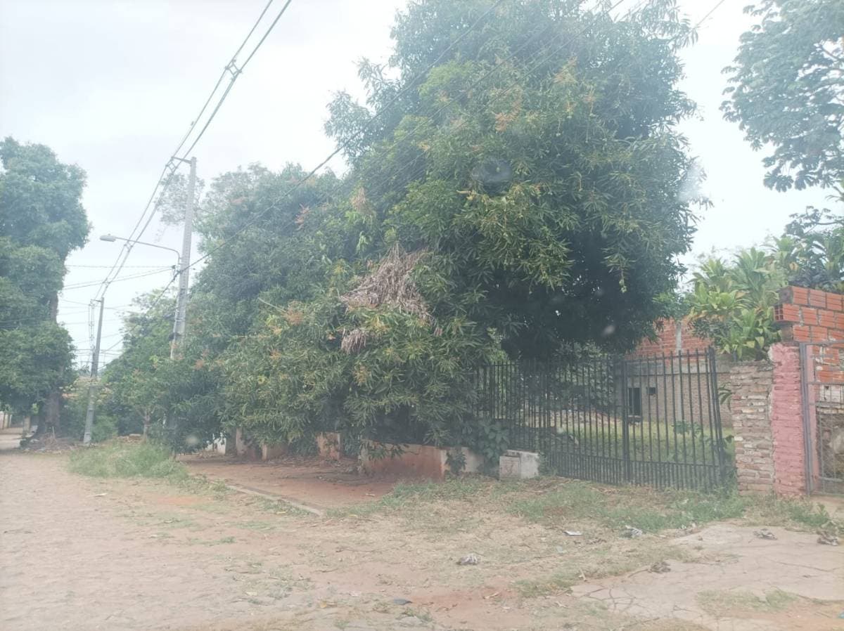 Terreno en Domingo Martinez de Irala - foto 3