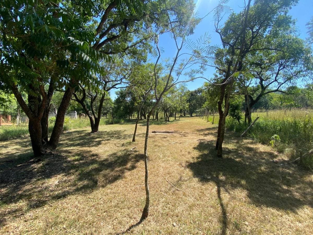 Terreno en Avenida Ciervo Cuá - foto 4