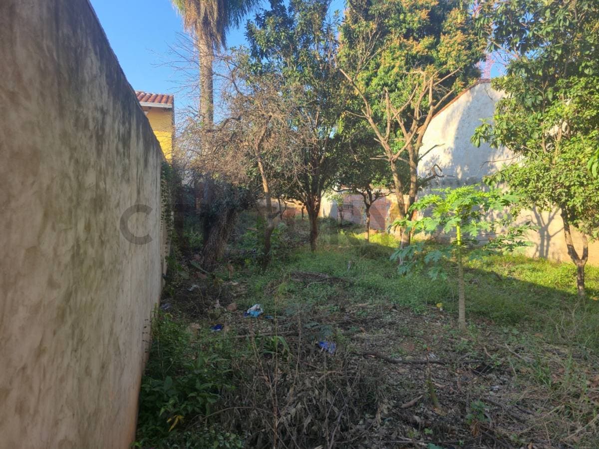 Terreno en Fortín Camacho & Saturio Ríos - foto 2