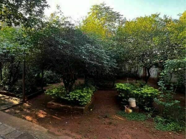Terreno en Rafael Barret - foto 4