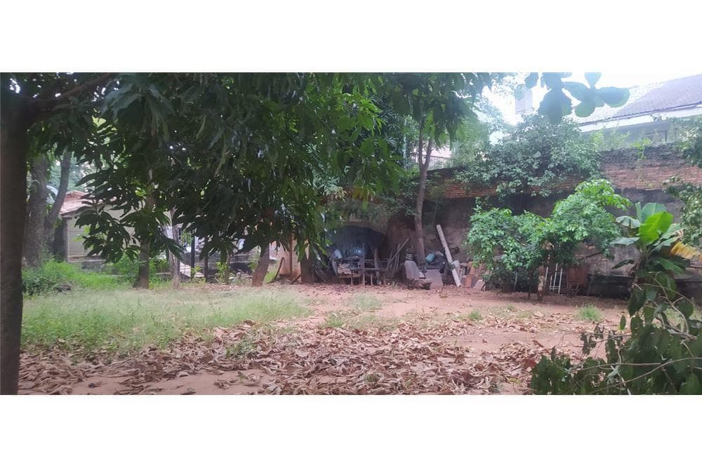 Terreno en Santa Margarita - foto 3