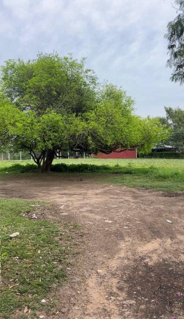 Terreno en San Bernardino, Cordillera