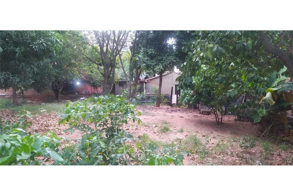 Terreno en Santa Margarita - foto 4