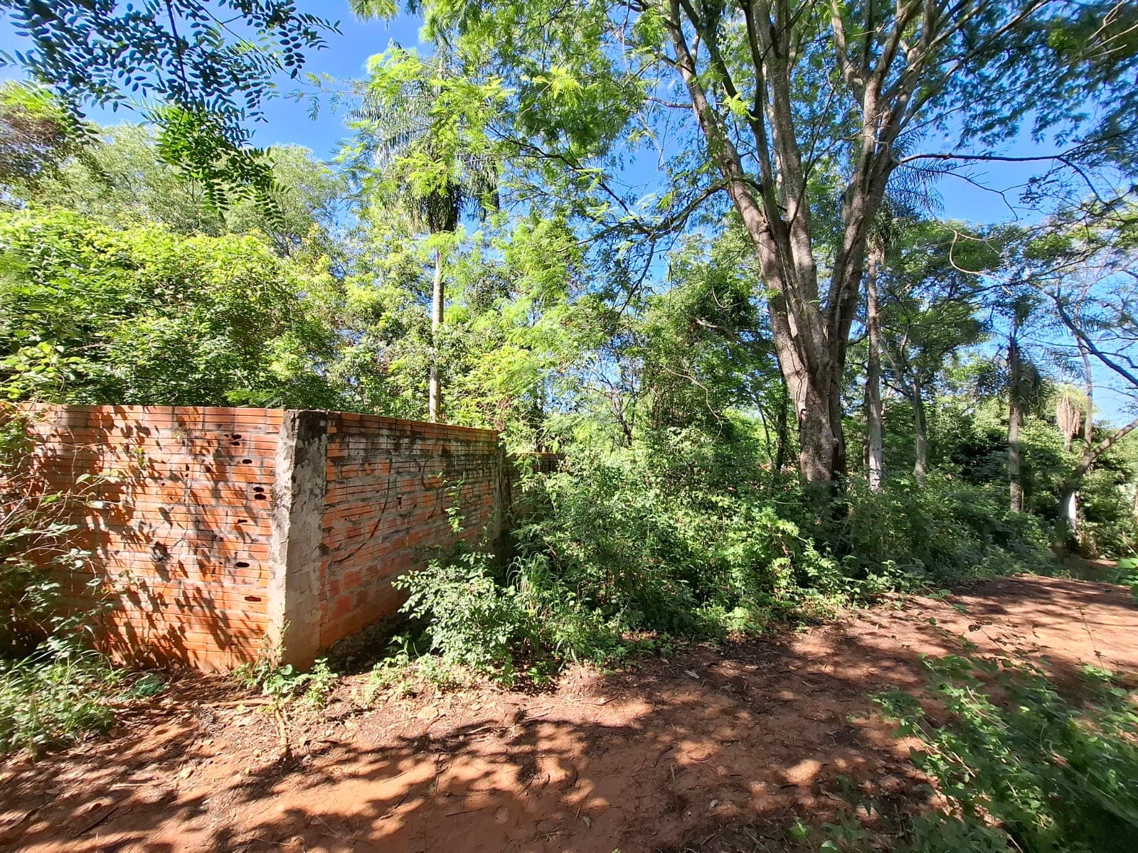 Terreno en Limpio, Central - foto 10