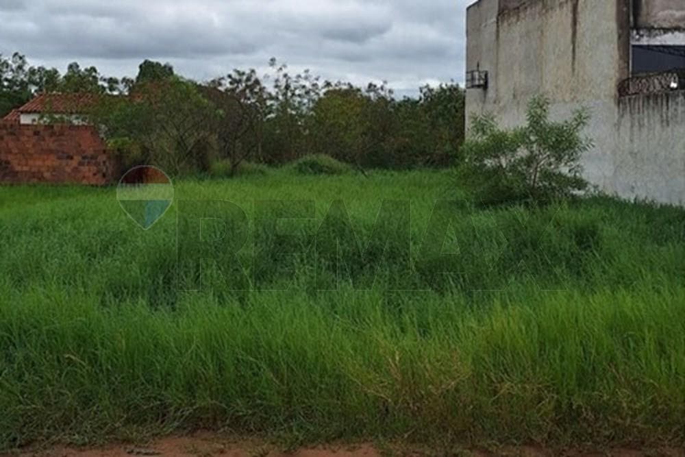 Terreno en Ñu pora - foto 3