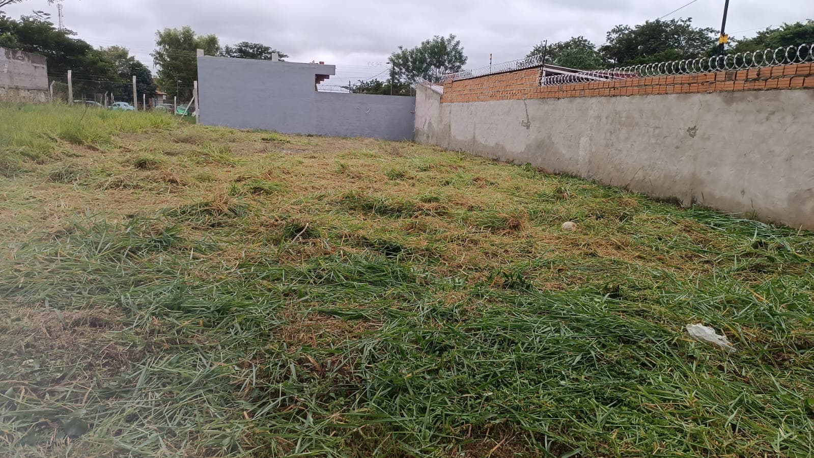 Terreno en Ñemby barrio los naranjos - foto 2