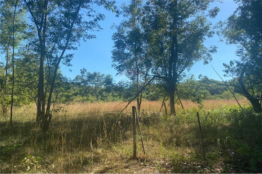 Terreno en San Bernardino, Cordillera - foto 7