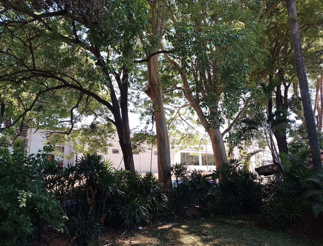 Casa en Villa Morra, Asunción - foto 2