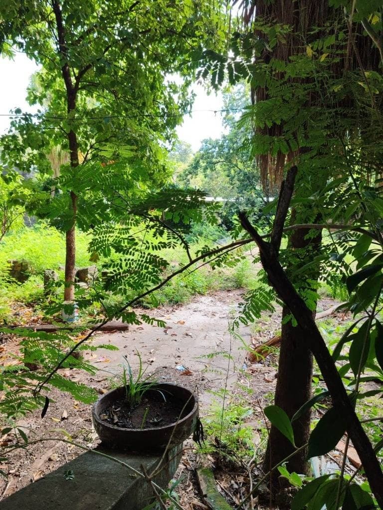 Terreno en Recoleta, Asunción - foto 7