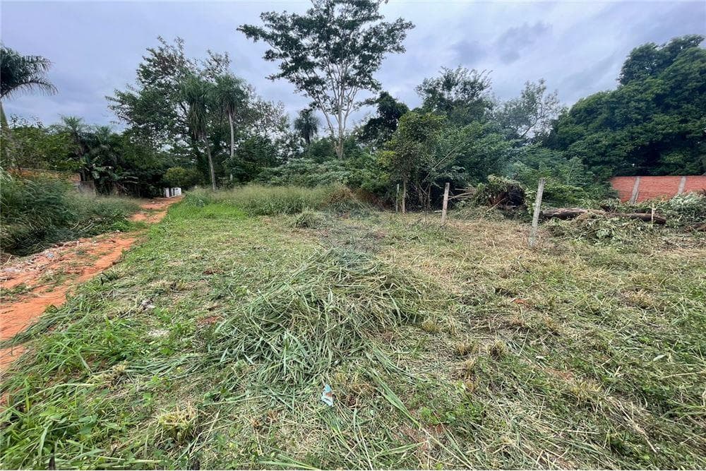 Terreno en Capiata Avda. Doctor Lopez c/ amistad - foto 4