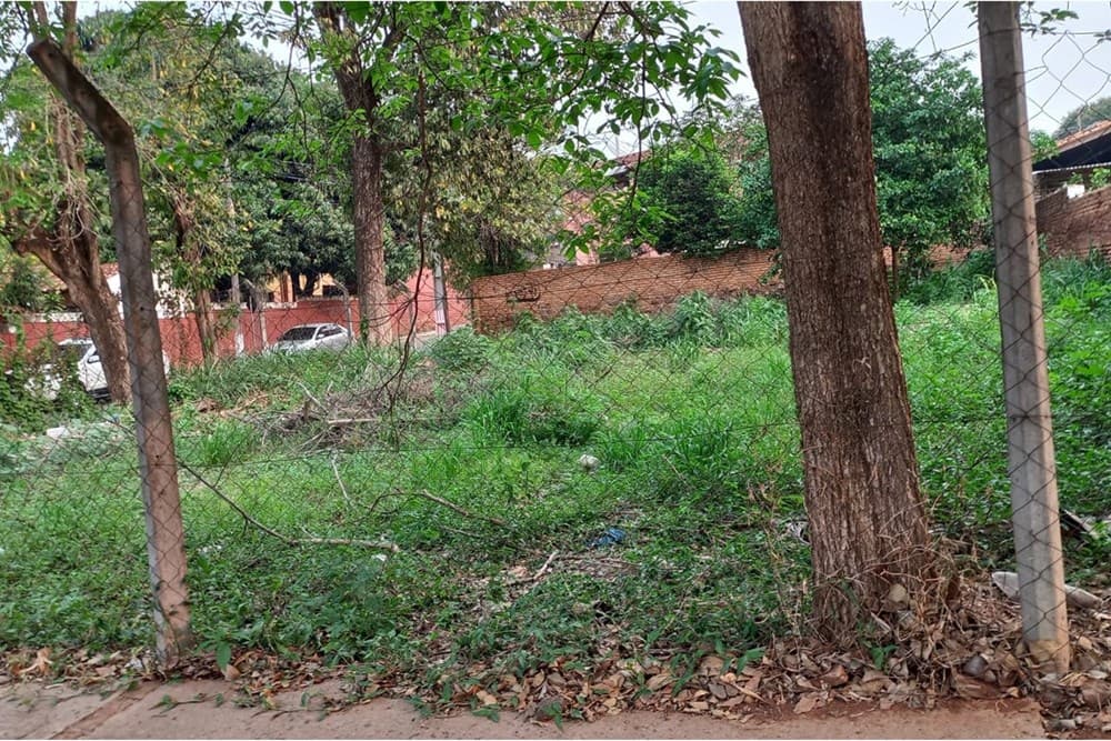 Terreno en Coronel Bogado - foto 3