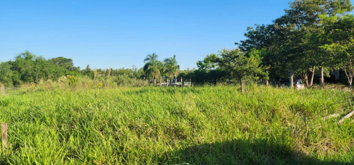 Terreno en Urbanización - foto 4