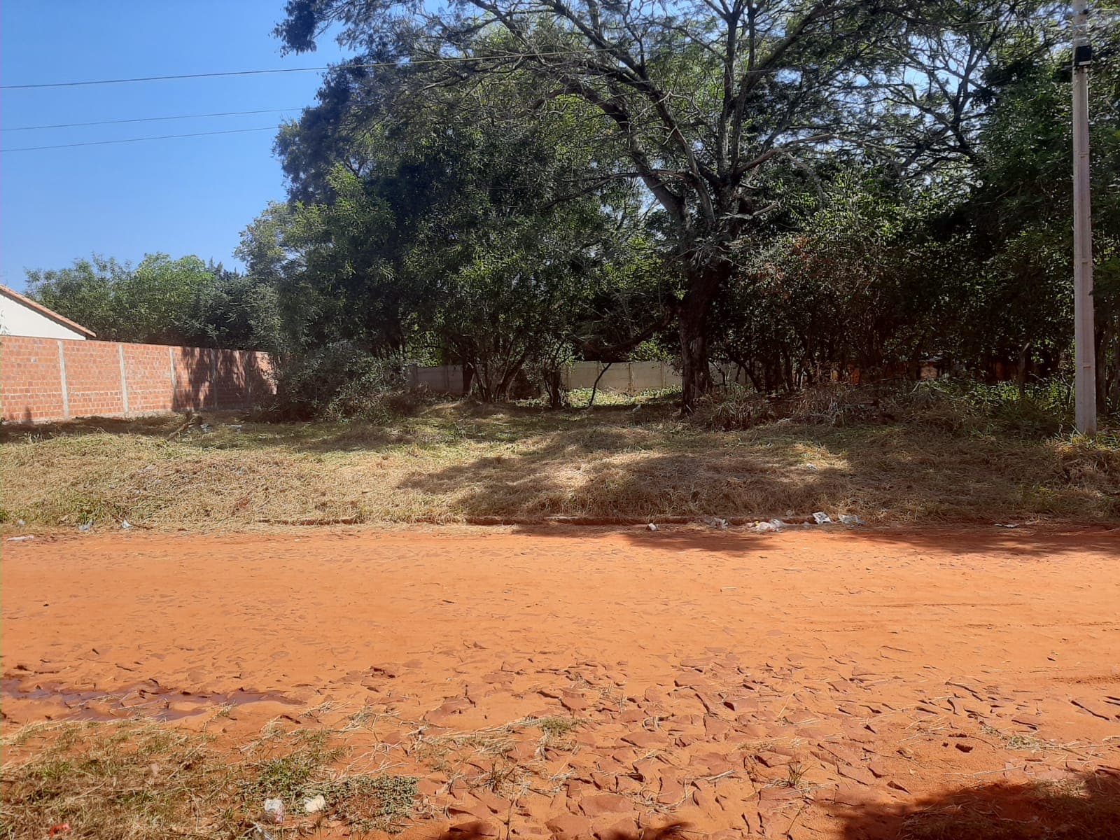 Terreno en José Asunción Flores