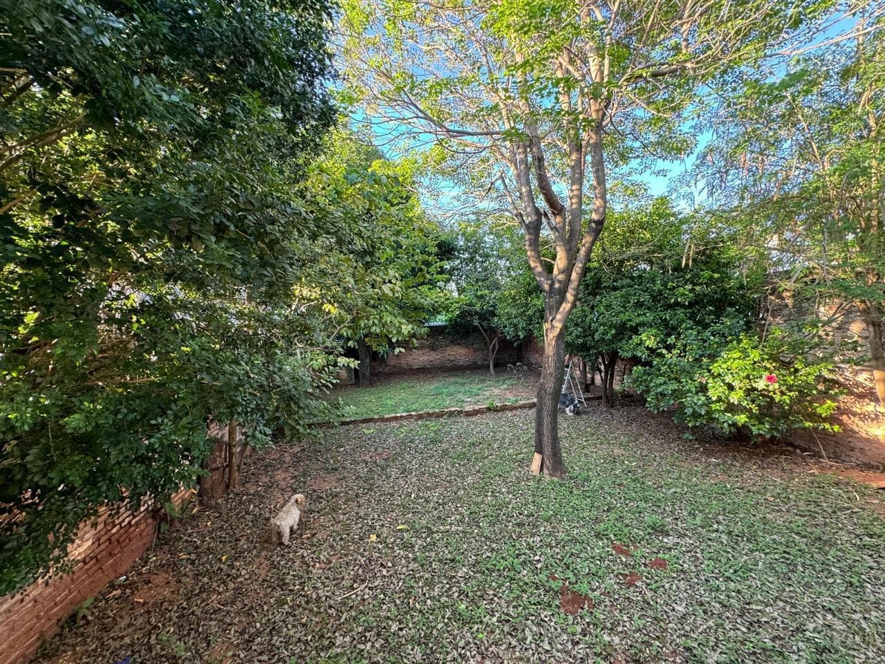 Casa en José Asunción Flores - foto 3