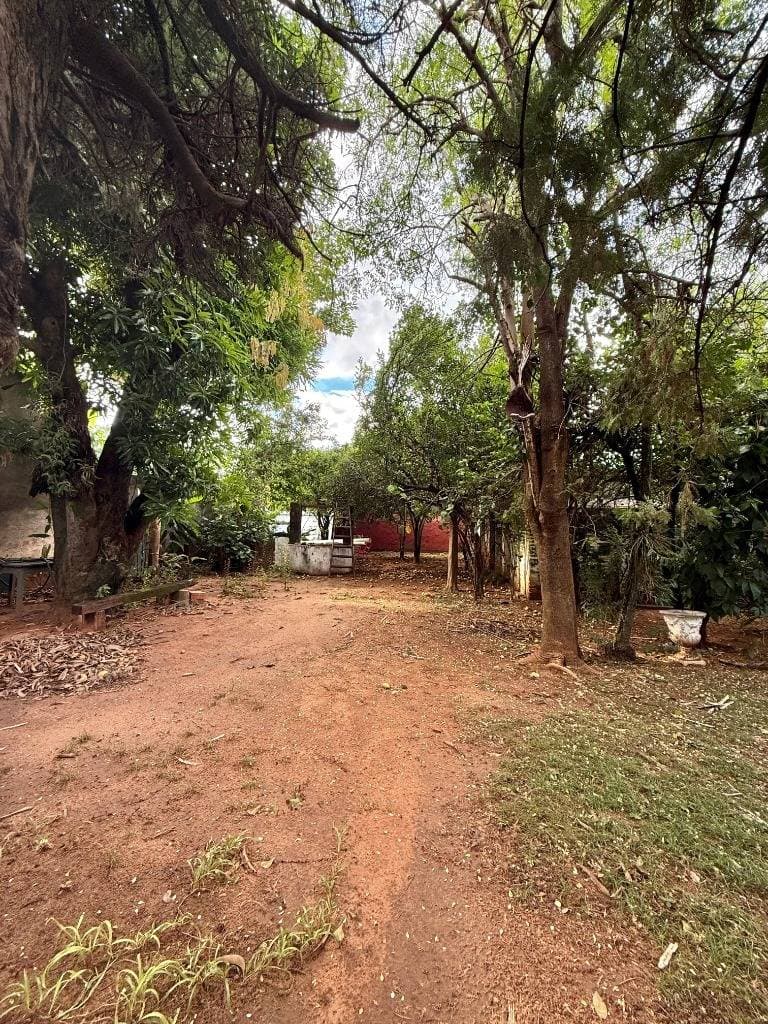 Terreno en Los Laureles, Asunción - foto 10