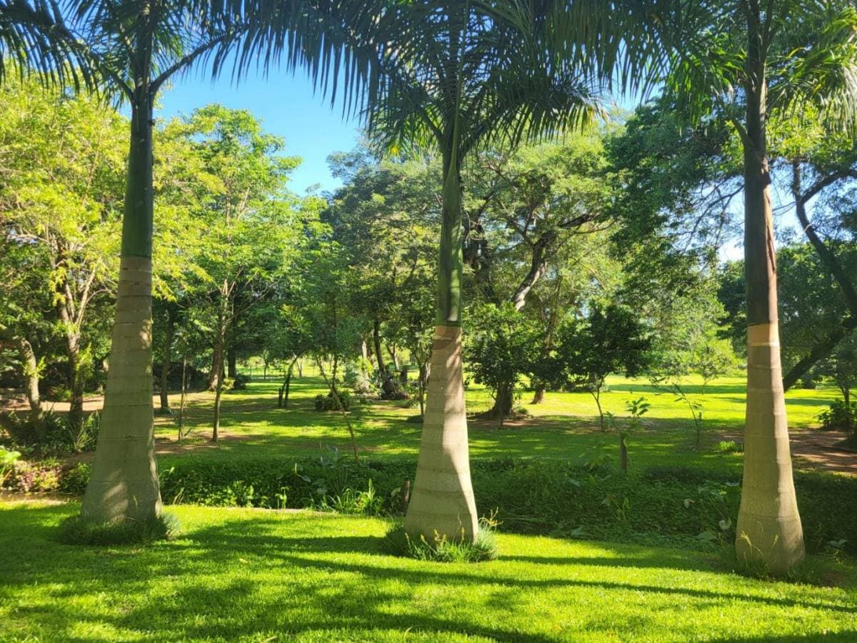 Terreno en Luque, Central - foto 6