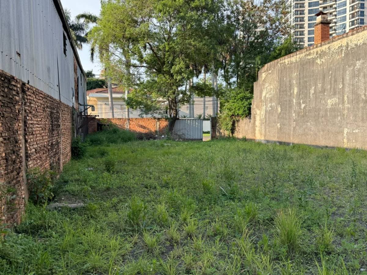 Terreno en Doctor Guillermo Enciso Velloso - foto 2