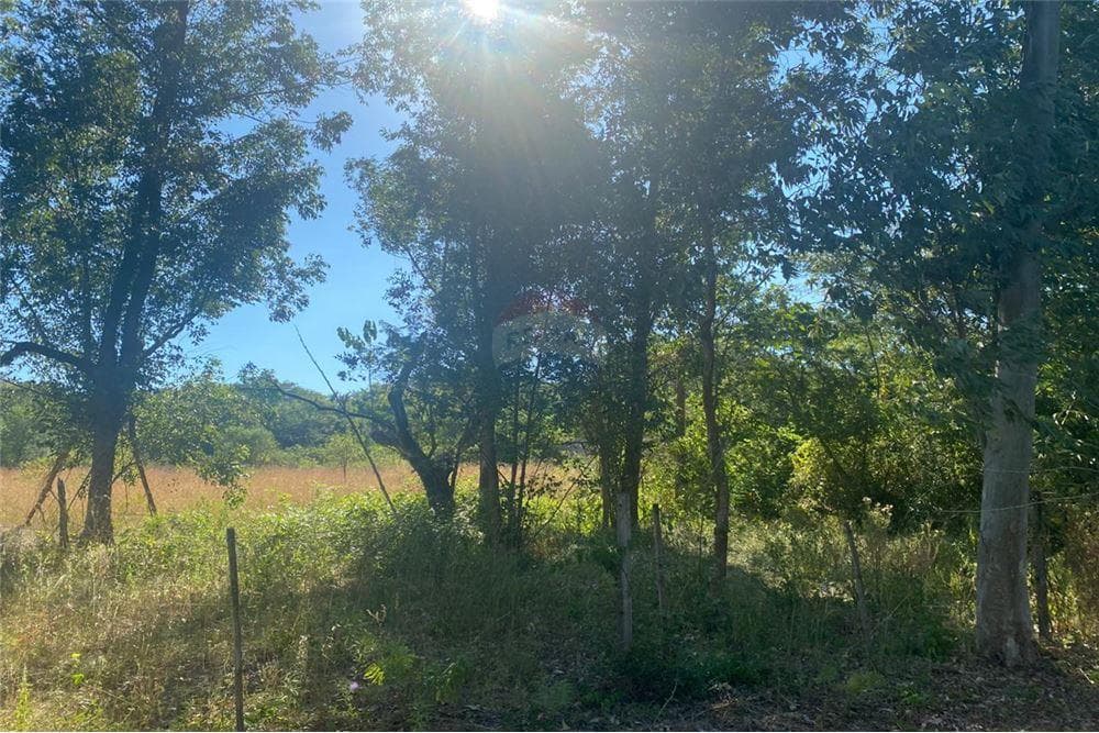 Terreno en San Bernardino, Cordillera - foto 10