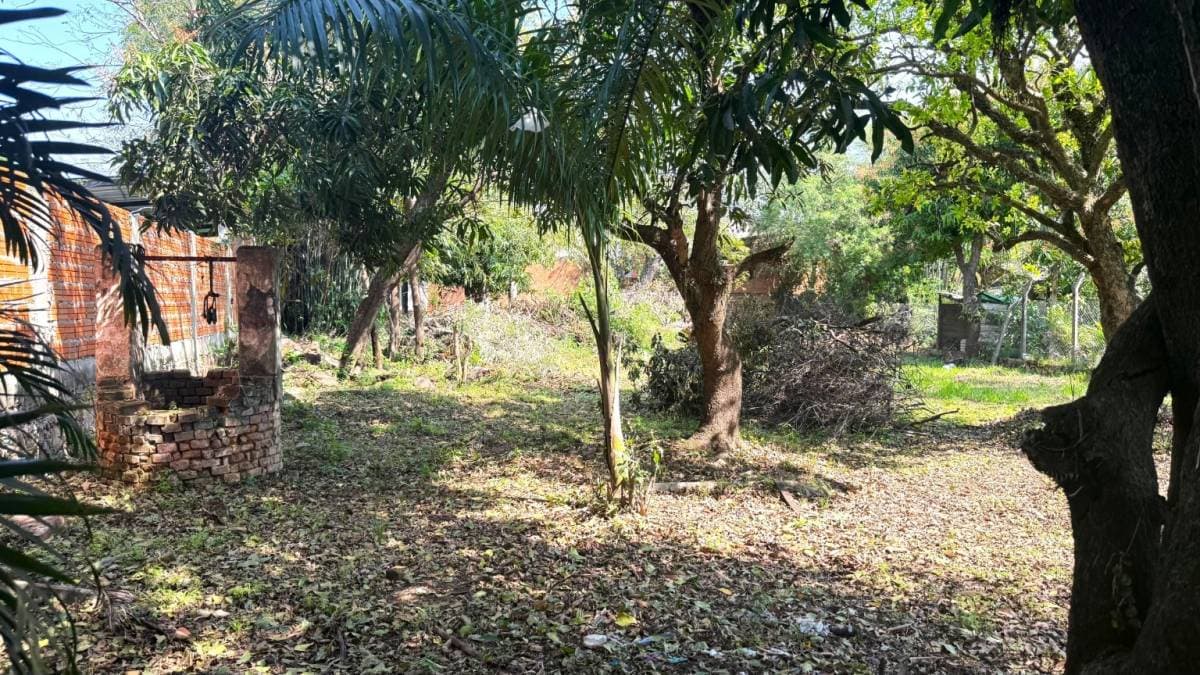 Terreno en Calle Tomas Benitez Valdez - foto 3