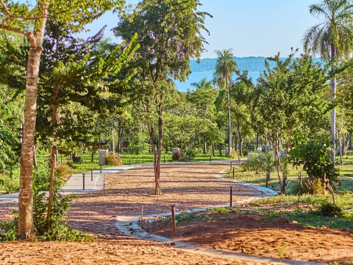 Terreno en Ciervo Ku - foto 6