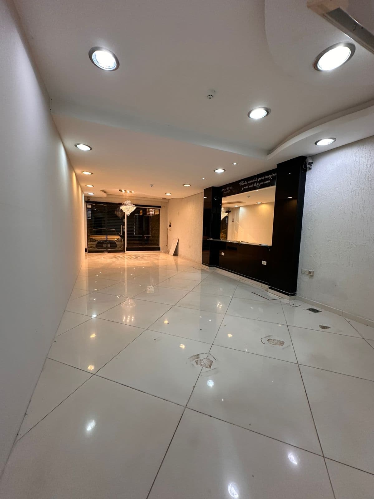 Local comercial en Avenida Bonifacio Ovando - foto 8