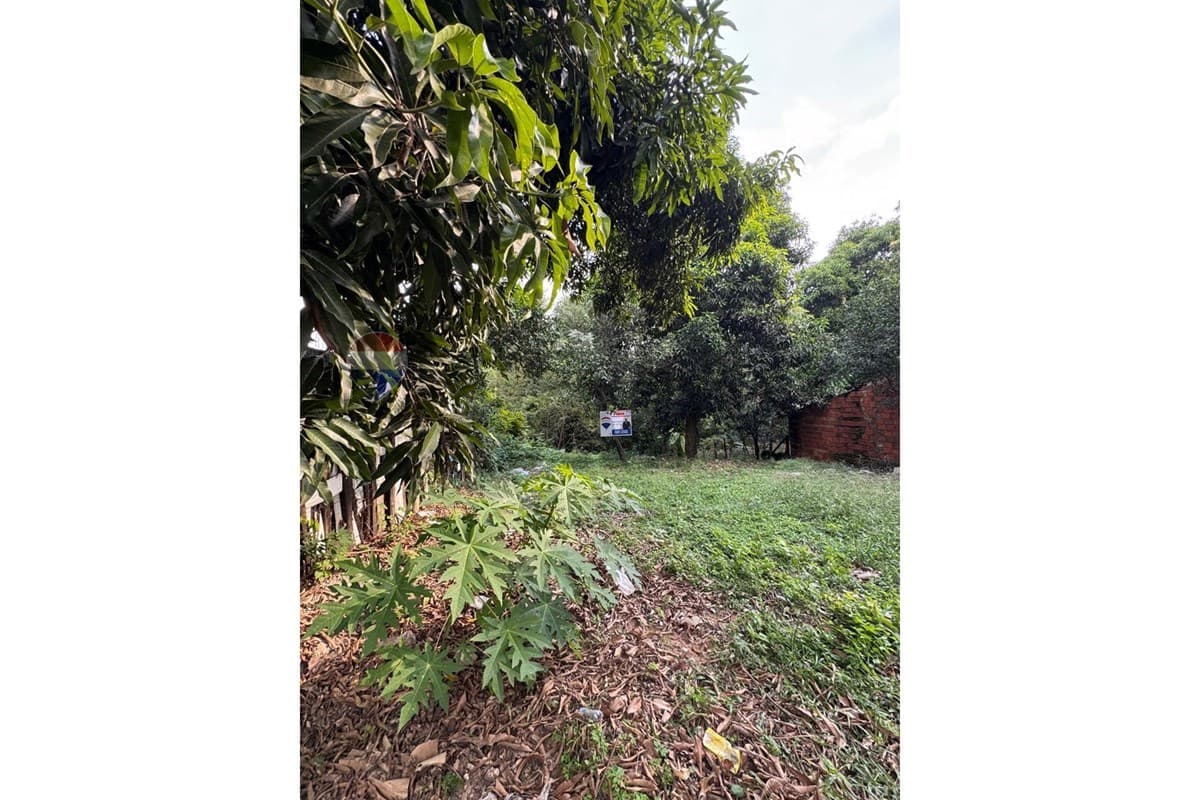 Terreno en Mariano Roque Alonso, Central - foto 3