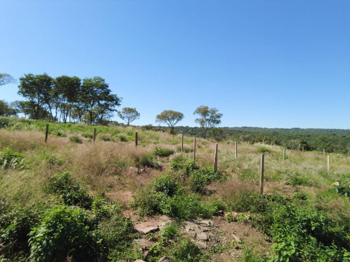 Terreno en Matiauda - foto 3